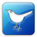 twitter twitter